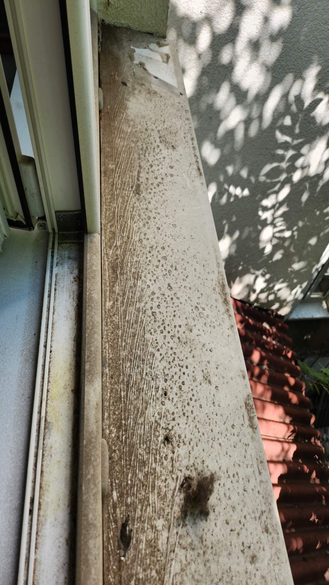 Before photo for Window Cleaning