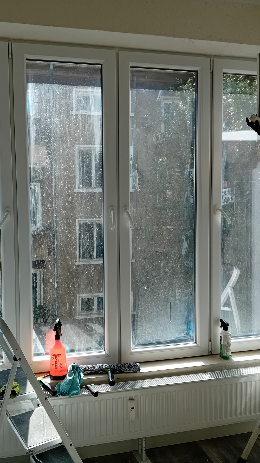 Before photo for Window Cleaning