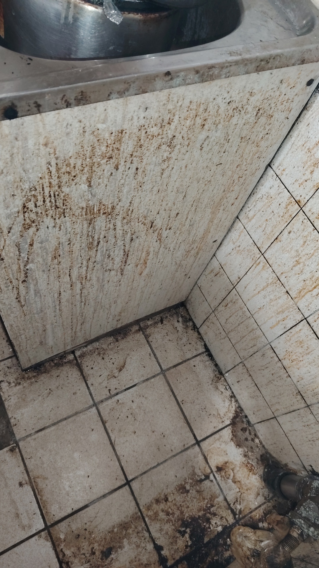 Before photo for Deep Cleaning