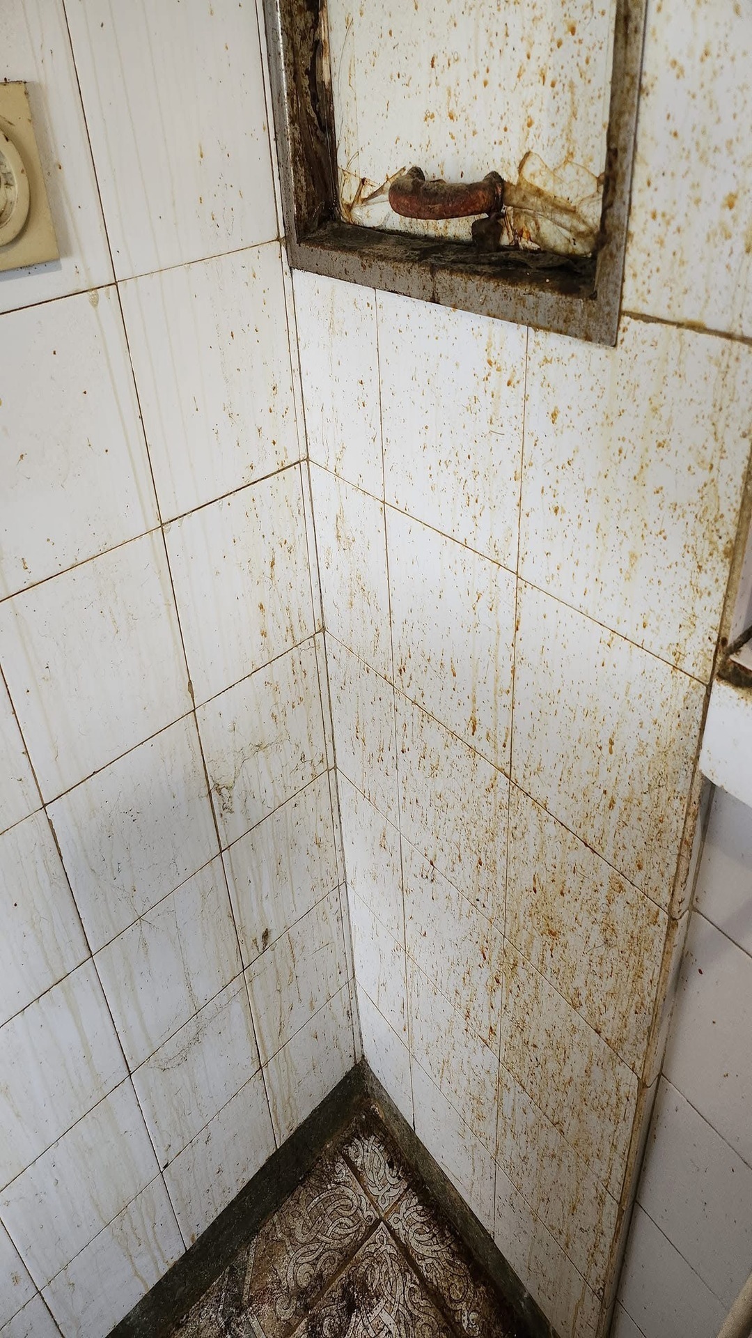 Before photo for Основно почистване