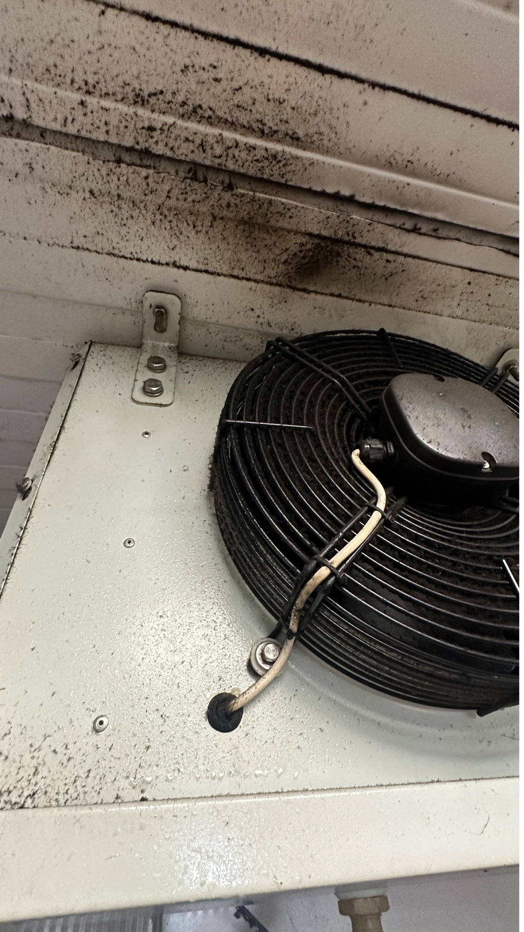 Before photo for After Renovation Cleaning