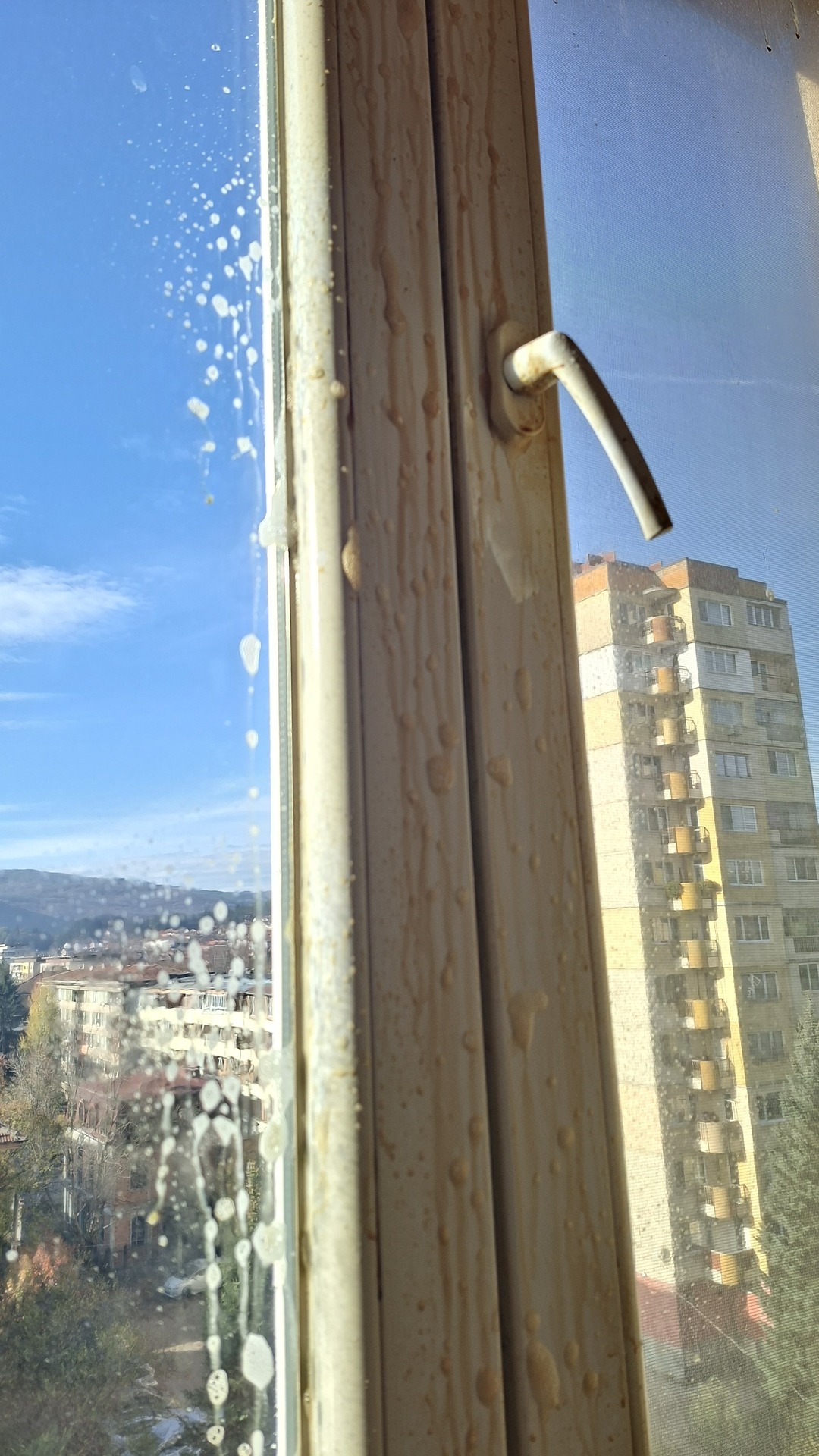 Before photo for Window Cleaning