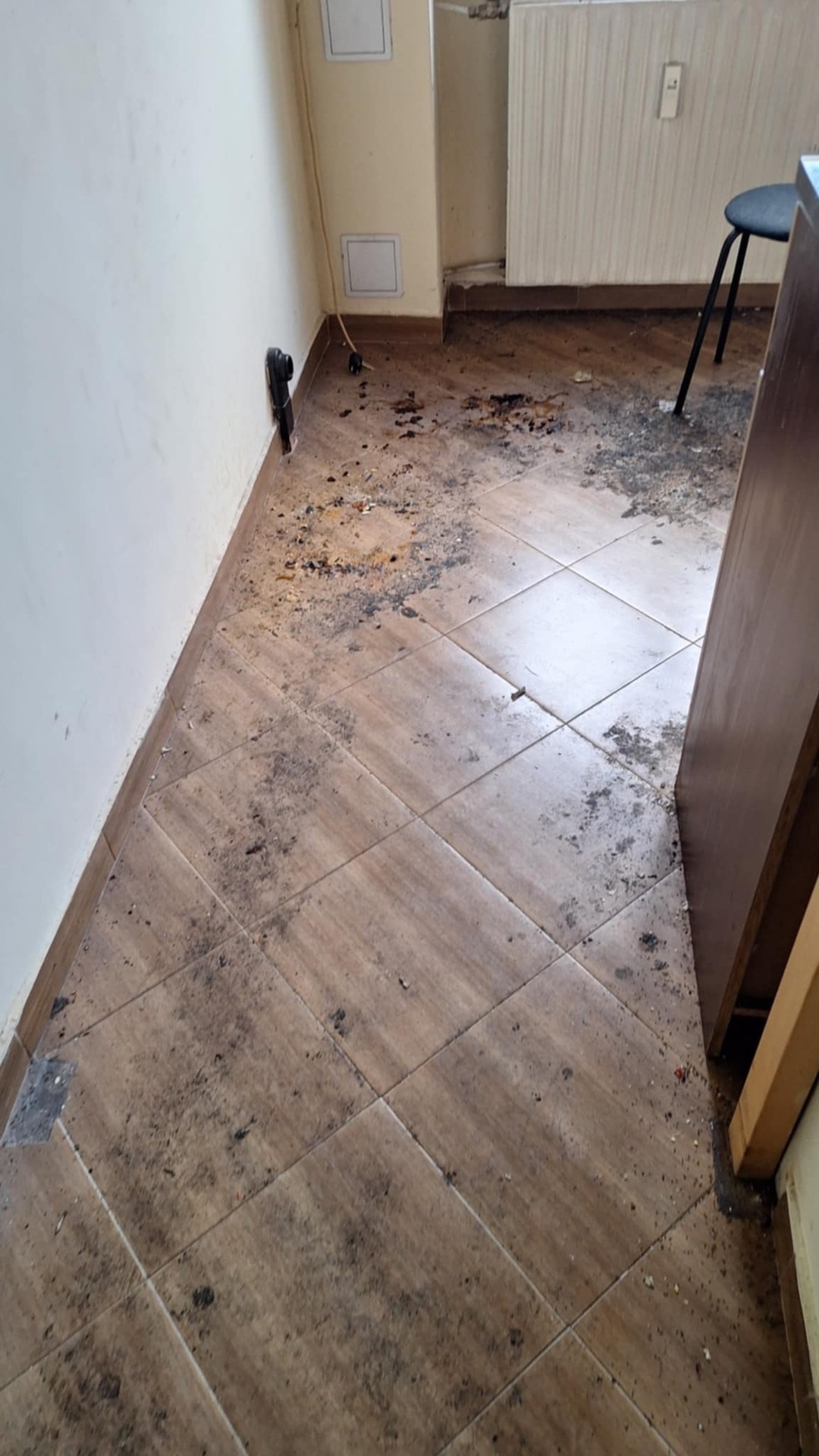 Before photo for Deep Cleaning